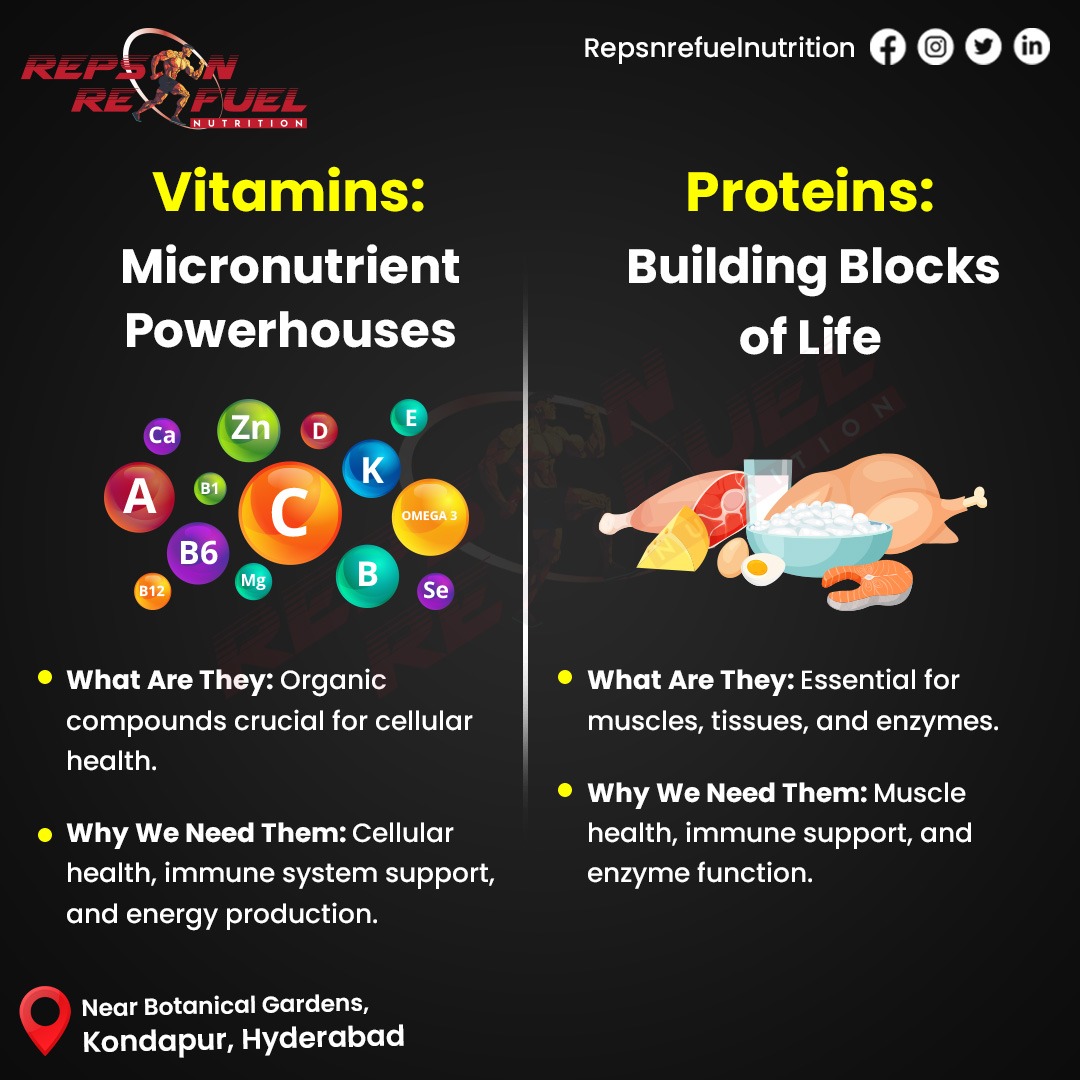 In the nutritional symphony, proteins, fortifying our cellular foundation. Vitamins, intricately fuel essential biochemical processes, ensuring overall well-being. 

#NutritionEssentials #Proteins #Vitamins #Nutritionstore #RepsNRefuel #Supplement #Fitness #Kondapur #Hyderabad