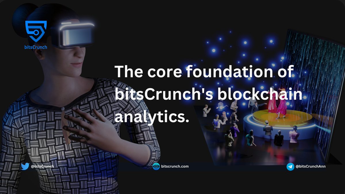 The vital infrastructure behind @bitsCrunch's blockchain analytics, powering comprehensive insights into digital transactions. #BlockchainAnalysis #NFTs