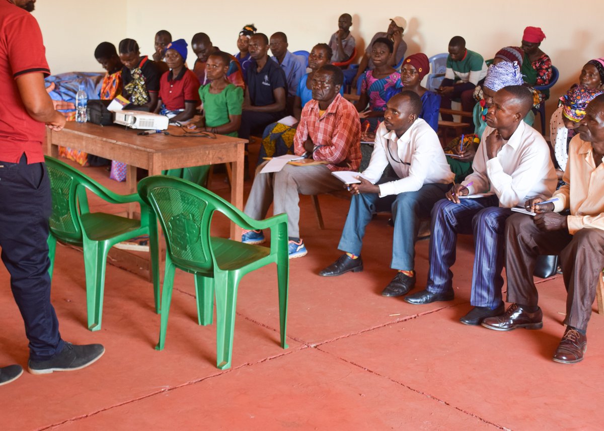 pass_trust's tweet photo. Vikundi pamoja na Vyama vya Ushirika wa Kilimo na Masoko (AMCOS) vinaendelea kunufaika na huduma za maendeleo ya biashara zinazotolewa na PASS Trust katika maeneo mbalimbali kwa kushirikiana na wadau wengine wa kilimo.#passtrust #passkilimo #passtanzania #kilimo #kijanishamaisha https://t.co/s51dRHoy4F