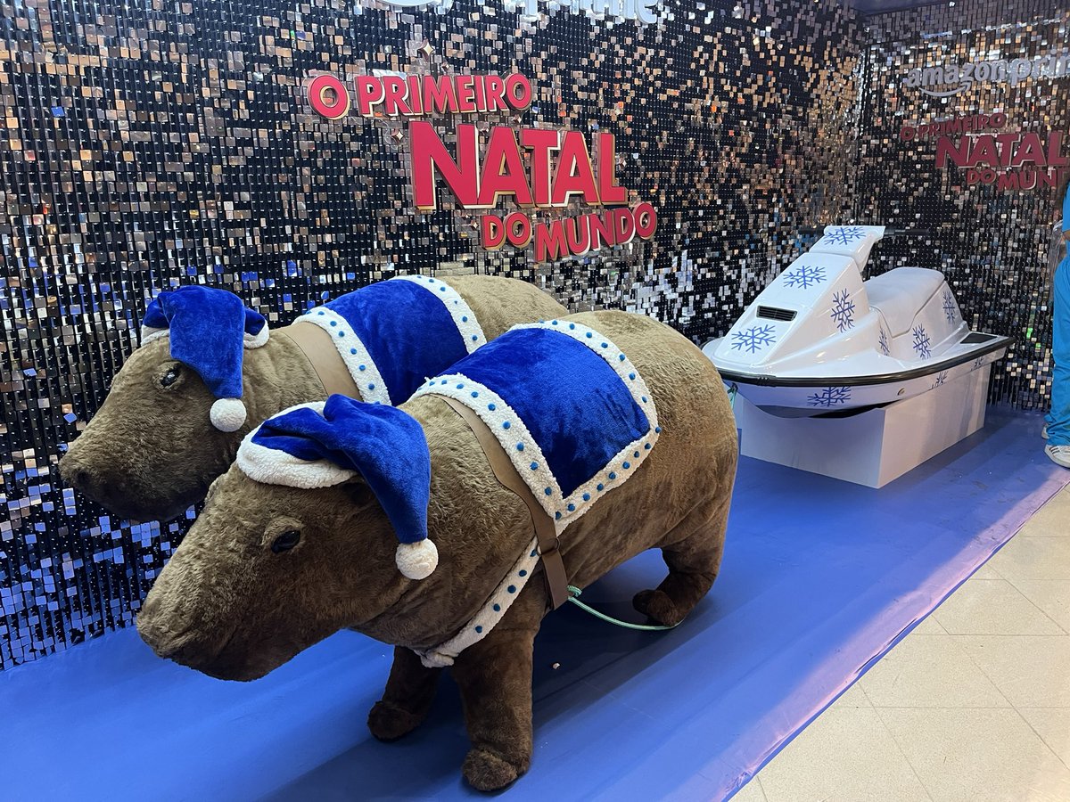 Christmas has arrived in South America #capivara #capybara #chiguire #carpincho