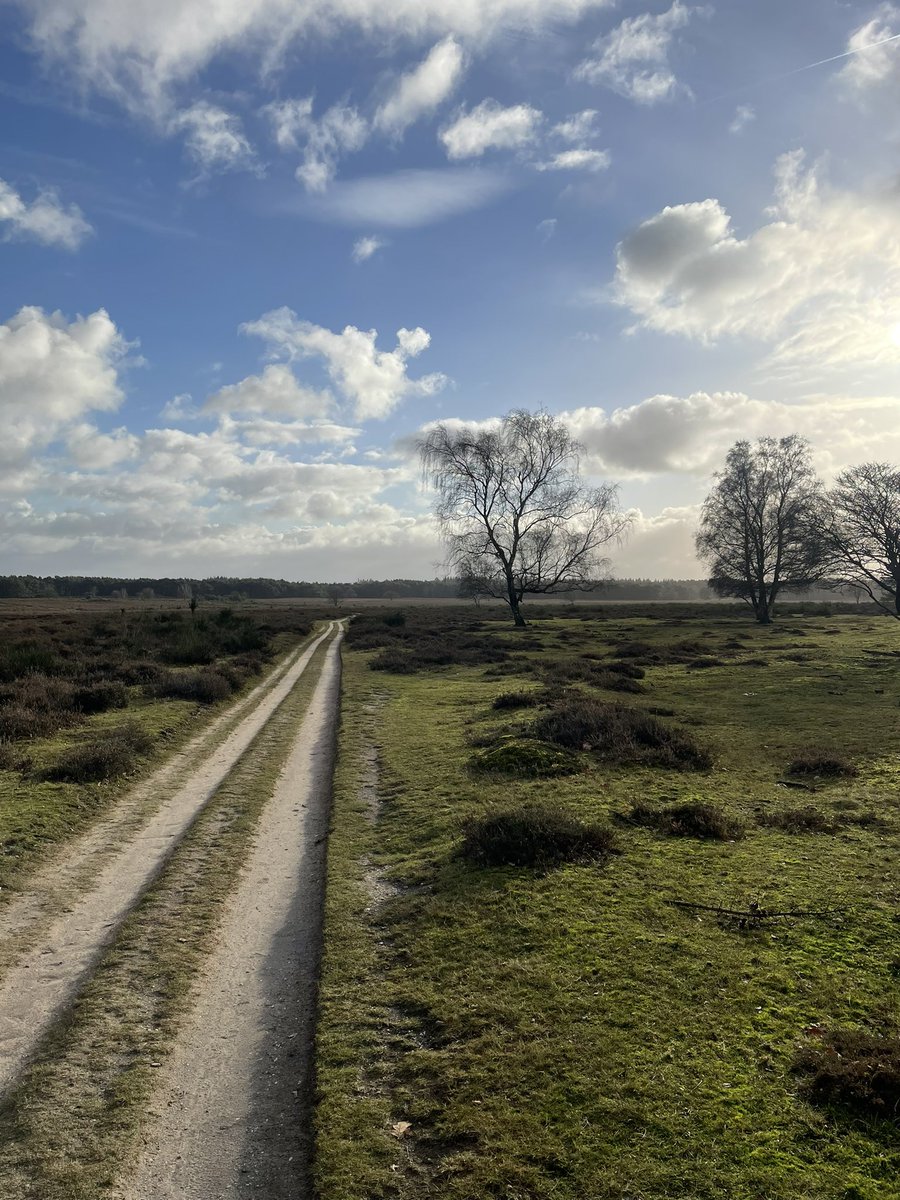 MarcFarrant's tweet photo. A final 🚴🏻 ride of the year https://t.co/ldPrqy5tKD