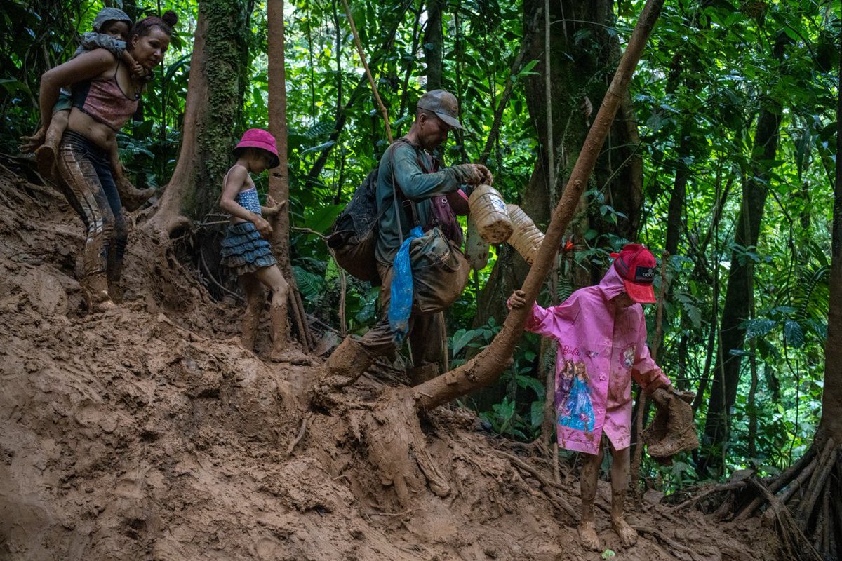 Federico Rios (@federicorios) on Twitter photo Transmitiendo en vivo desde la selva. Migrantes se vuelven influencers de redes sociales.
para @nyt con <a href="/julieturkewitz/">julieturkewitz</a> y la ayuda de <a href="/simon_posada/">simon_posada</a> <a href="/IsayenHG/">Isayen Herrera</a> <a href="/haroldisaac/">Harold Isaac</a> Sabah Gurmat <a href="/fu_claire/">Claire Fu</a> Ruhullah Khapalwak
Pueden leerlo completo en este link:
nytimes.com/2023/12/20/wor⊠Transmitiendo en vivo desde la selva. Migrantes se vuelven influencers de redes sociales.
para @nyt con <a href="/julieturkewitz/">julieturkewitz</a> y la ayuda de <a href="/simon_posada/">simon_posada</a> <a href="/IsayenHG/">Isayen Herrera</a> <a href="/haroldisaac/">Harold Isaac</a> Sabah Gurmat <a href="/fu_claire/">Claire Fu</a> Ruhullah Khapalwak
Pueden leerlo completo en este link:
nytimes.com/2023/12/20/worâŠ