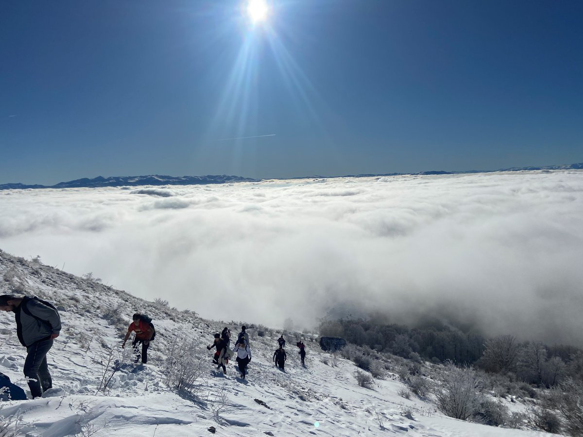 Life at Netcetera tweet media