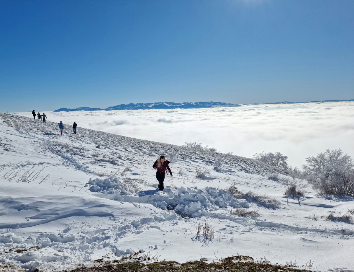 Life at Netcetera tweet media