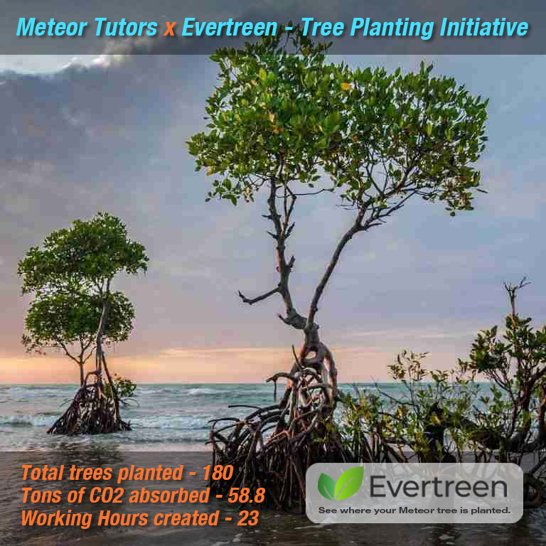 MeteorTutors's tweet photo. Just as important at Christmas, Meteor Tutors x Evertreen - Tree planting Initiative

See the whole story: https://t.co/ekiWKwk5sg

https://t.co/O3xdCqiD1l

#community #environment #treeplanting #trees #edtech #videoconferencing #treeplantinginitiative #christmas #christmastrees https://t.co/JgH6ZkDNBn