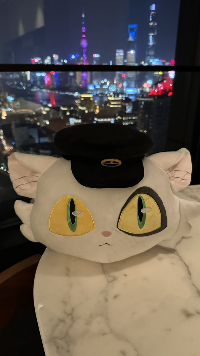 shinkaimakoto's tweet photo. 中国オリジナルグッズの、ぬこ駅長ダイジン・ハンドウォーマーをいただきました笑！
可愛くて暖かい、、、！ https://t.co/wmgZu6PQhH