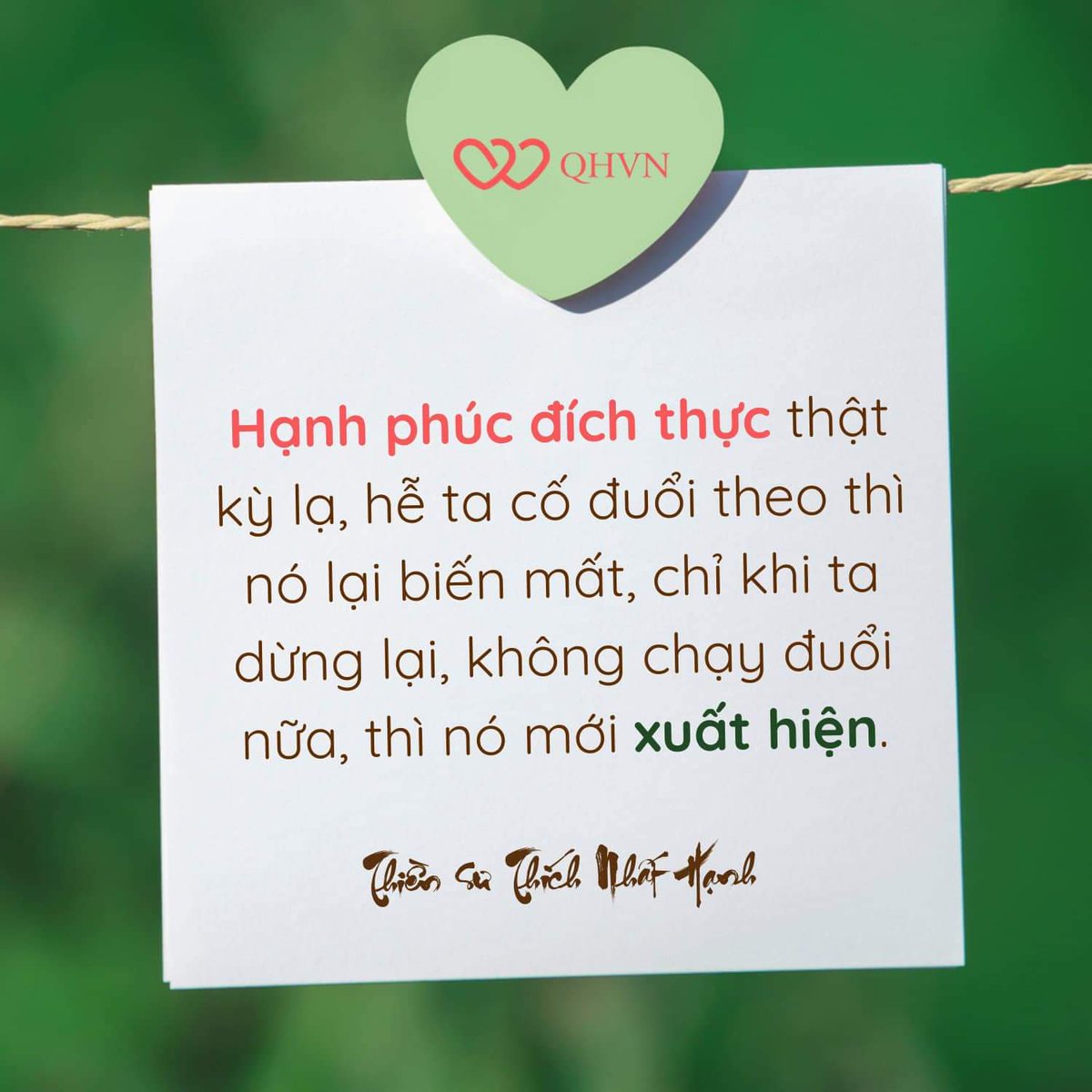 MatchaMatcha5's tweet image. "Trong đĩa mới phát hành của nhóm nhạc Underground Sodogreen, có bài Cá bay, lời bài hát nghe rất sướng: "Đơm hoa không kết quả thì sao chứ? Là cá thì nhất định phải bơi ư?"
      Tình yêu không kết quả, chỉ cần nở hoa, màu sắc đã rực rỡ rồi.
      Được…