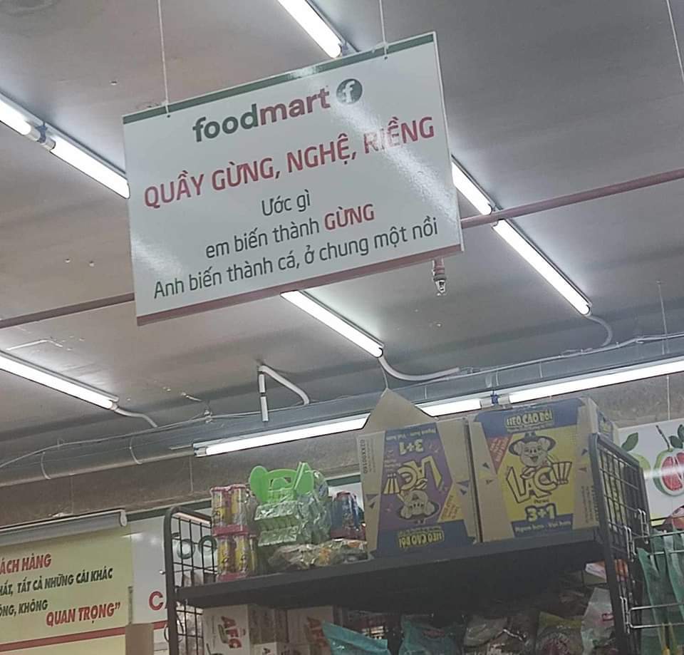 MatchaMatcha5's tweet image. "Trong đĩa mới phát hành của nhóm nhạc Underground Sodogreen, có bài Cá bay, lời bài hát nghe rất sướng: "Đơm hoa không kết quả thì sao chứ? Là cá thì nhất định phải bơi ư?"
      Tình yêu không kết quả, chỉ cần nở hoa, màu sắc đã rực rỡ rồi.
      Được…