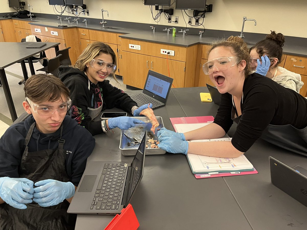 CPitts167's tweet photo. Long bone dissection day! Thank you to Star Market for cutting these bones perfectly so the students can identify, analyze and discuss bone tissues, anatomical landmarks and important structures of long bones. #WeRMarshfield #BetterTogether #RamsScience #StudyAnatomy https://t.co/rej2mSjxym