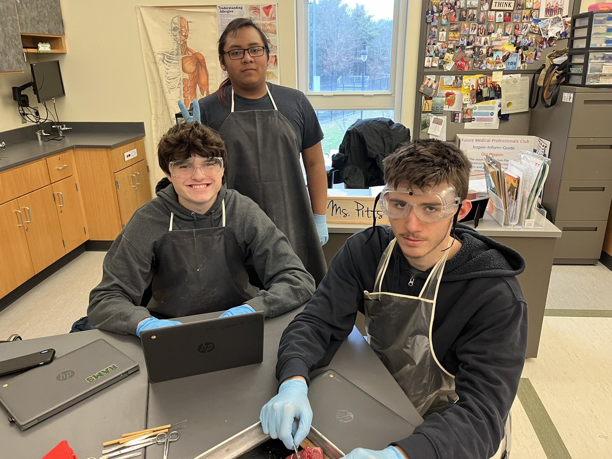 CPitts167's tweet photo. Long bone dissection day! Thank you to Star Market for cutting these bones perfectly so the students can identify, analyze and discuss bone tissues, anatomical landmarks and important structures of long bones. #WeRMarshfield #BetterTogether #RamsScience #StudyAnatomy https://t.co/rej2mSjxym