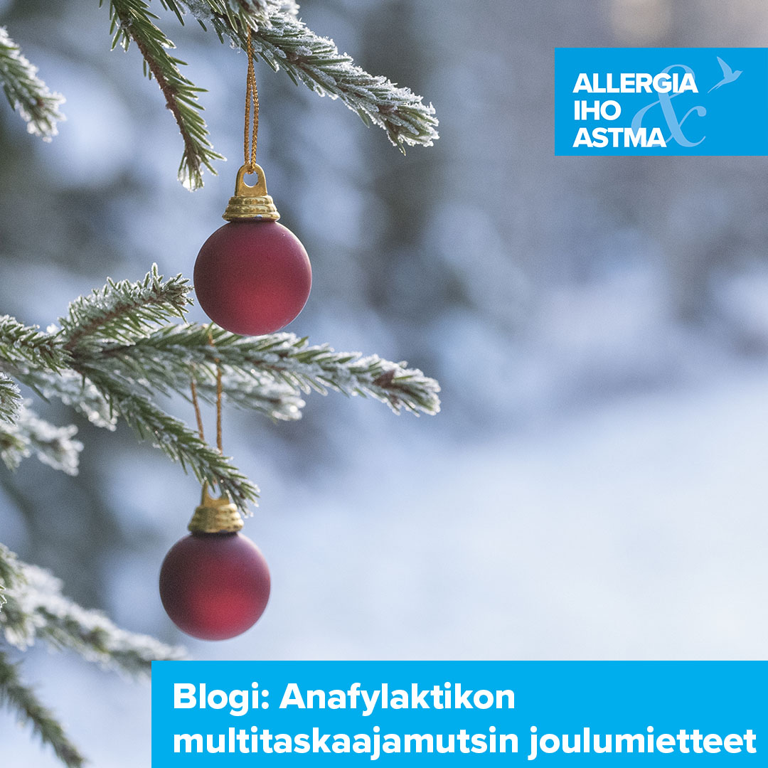 ”Voiko joulupöydän kattaa ilman maitoa, munaa ja kalaa?”, pohtii anafylaksialapsen äiti. Lue anafylaktikon multitaskaajamutsin joulumietteitä Allergia-, iho- ja astmaliiton blogikirjoituksesta. 👉allergia.fi/blogi/anafylak… #AllergiaIhoJaAstmaliitto #RuokaAllergia #anafylaksia #joulu