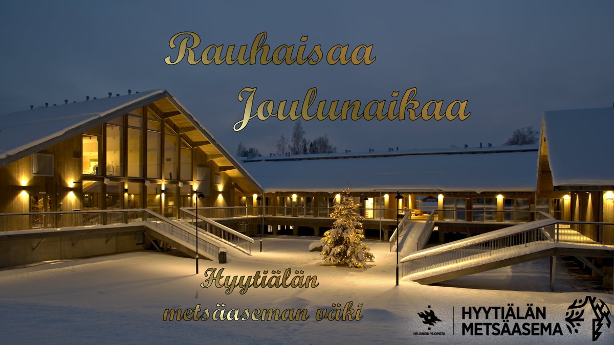 Hyytiälä wishes Merry Christmas and a Happy New Year for everyone!