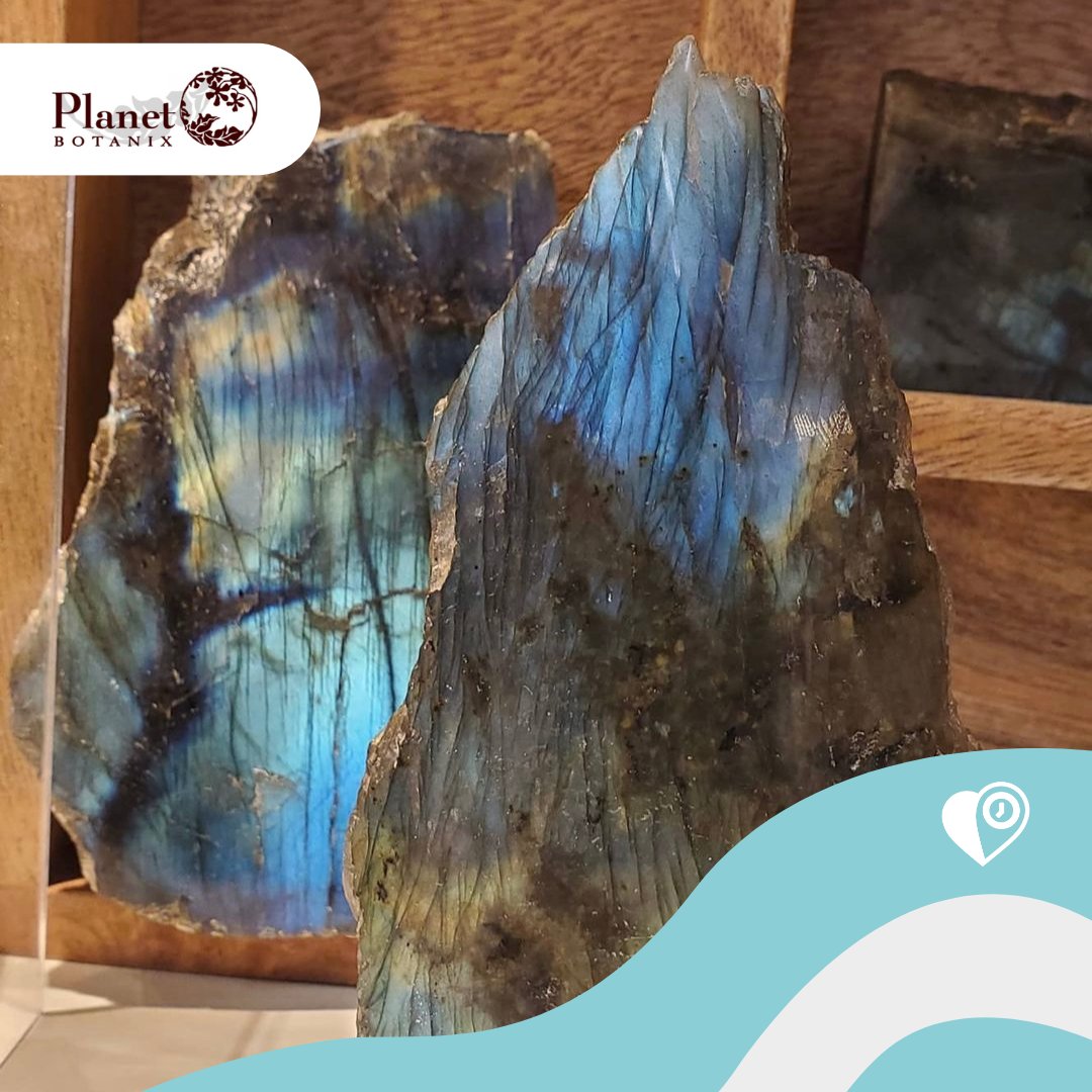 POP TikR tweet media