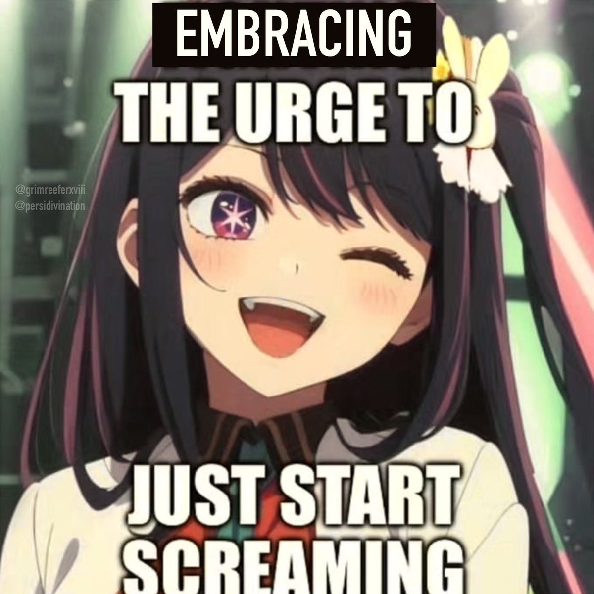 persi 🪴 tweet media