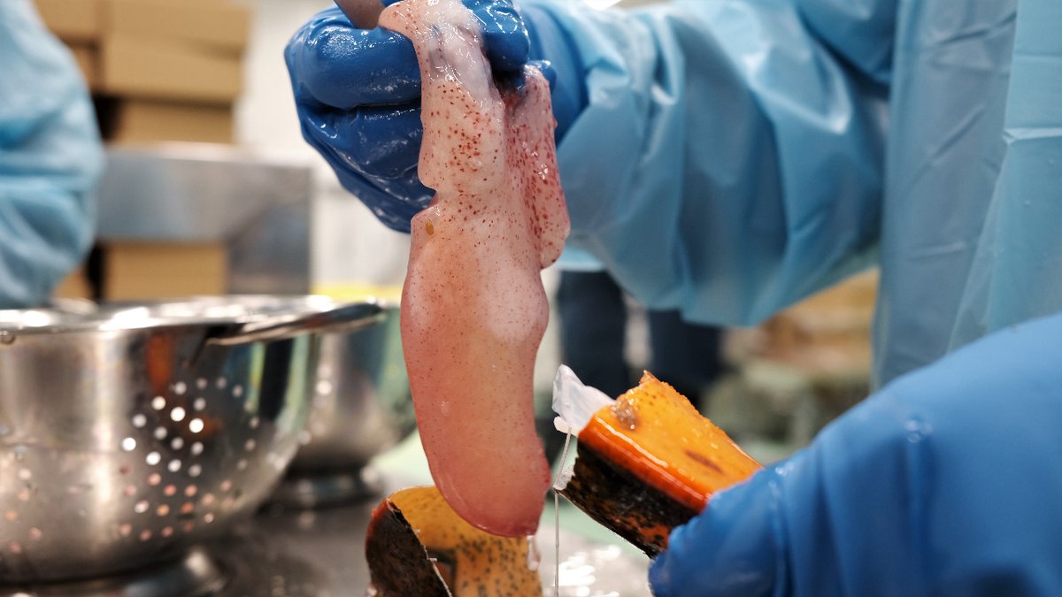 #HPP is widely used in the seafood industry for shellfish shucking. 🦞🦀🦪

The technology uses cold water at high pressure to recover 100% of the edible meat of oysters, lobsters, mussels, and other shellfish.

Learn more: hiperbaric.com/en/hpp-seafood…