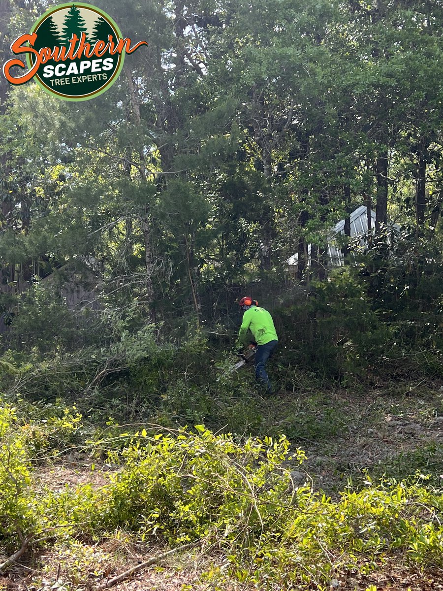 ScapesTree's tweet image. 🌲🌊 Maintain proper drainage and stability! 💼⚙️ Southern Scapes Tree Experts offers grading and sink hole filling services. Keep your landscape in top shape with our comprehensive solutions. 🛠️🏞️ #LandscapeStability #SouthernScapesTreeExperts s2tree.com/services/debri…