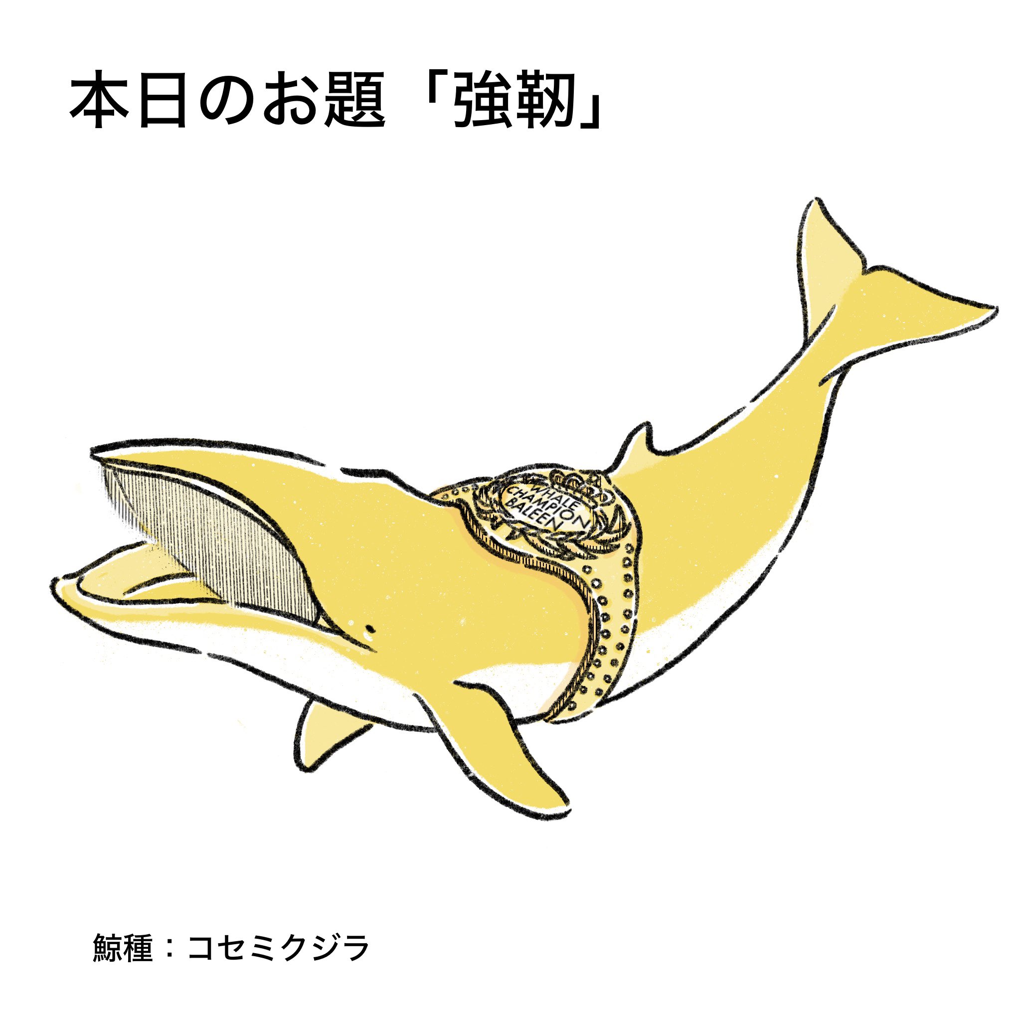 あらたひとむ🐋クジラ・イルカの雑学図鑑📖 (@aratahitom) / X