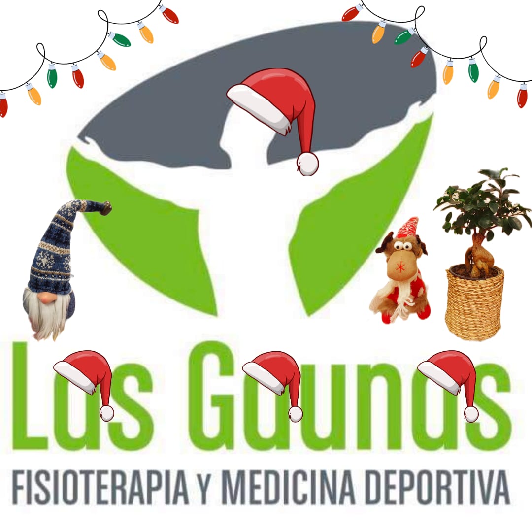 🎄🎄¡FELIZ NAVIDAD Y PRÓSPERO 2024!🎄🎄 

Desde fisioterapia y medicina deportiva Las Gaunas deseamos que disfrutéis mucho y que se cumplan todos vuestros deseos 🥂🥂

#teamlasgaunas #feliznavidad🎄