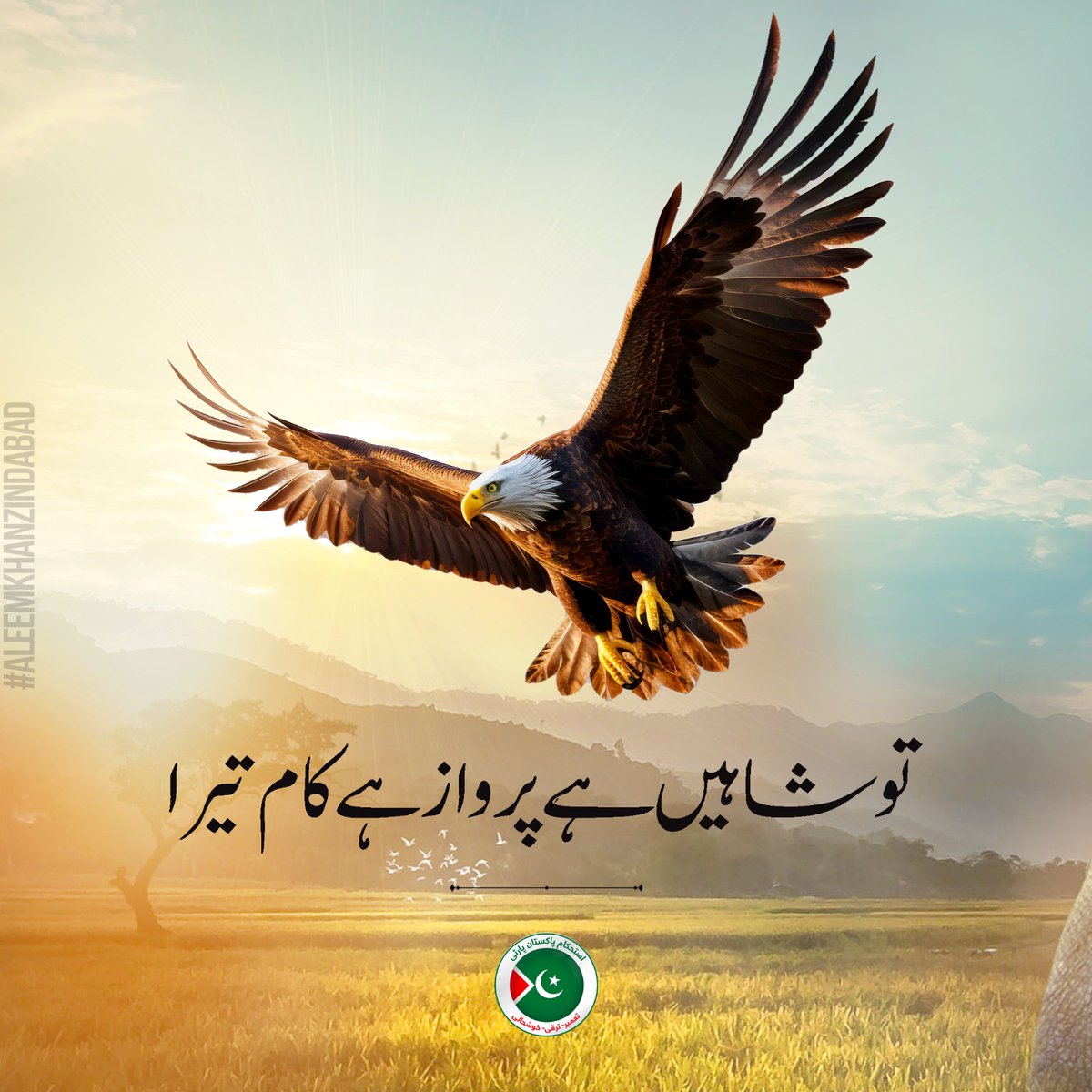 AAKEagles's tweet photo. شاہین ہی ملک کی تقدیر بدلیں گے

#AleemKhan #aleemkhanzindabad #aleemkhaneagles #aleemkhanfoundation #aleemkhanlover https://t.co/StmjMWoQTK