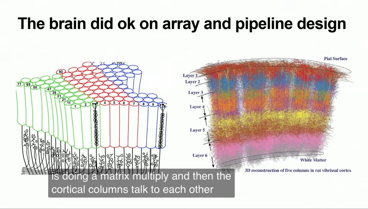 Part of our brains neural tissue is 7 layers of neural nets each doing their own all-to-all operations.

Part of Mixtral8x7b neural tissue is 32 layers of neural nets each doing their own matmul operations.

Pic:Jim Keller on AI chip design(who also built TeslaHW3,iPhoneSoC,AMDs)