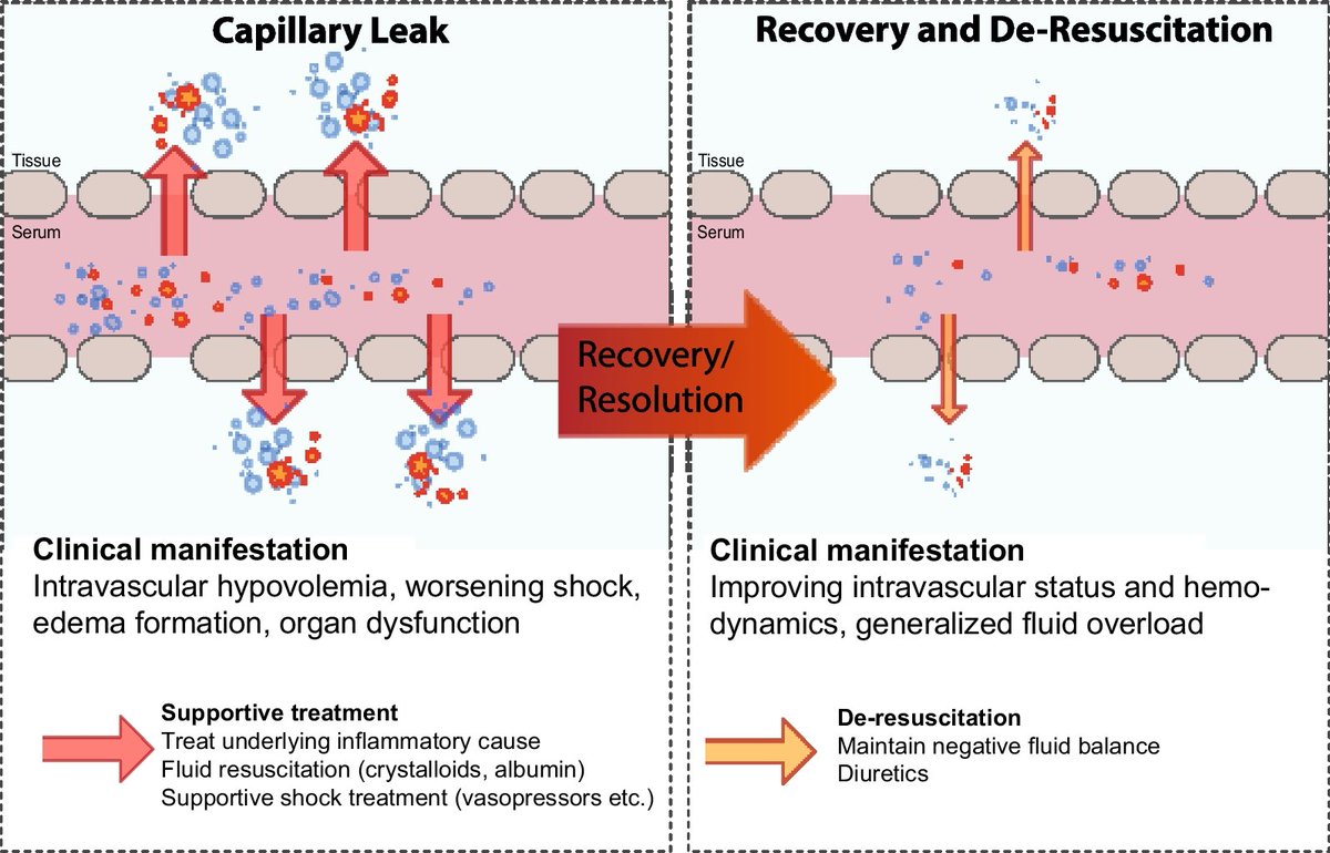 🔥Want to learn more about the phases of capillary leak?
➡️ Increased vascular permeability: aggressive treatment strategies💧
➡️Recovery phase: stabilizing and optimizing the fuid status with de-resuscitation ☔️
Learn more with this #OpenAccess #Review 👇
icm-experimental.springeropen.com/articles/10.11…