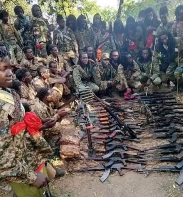 WBOn zoonii kibbaa Guyyaa Kaleessaa19/12/2023 Gujii Bahaa keessaatti Tarkaanfii Laallessaa Waraana PP irratti fudhateen20  ol Booji'ee .eeshaa Waraanaa Argitan Kana Dantaa Qabsoo Bilisummaatif Oolchee Jira.
 Injifannoon Kan Warra Dhugaa Barbaaduti!