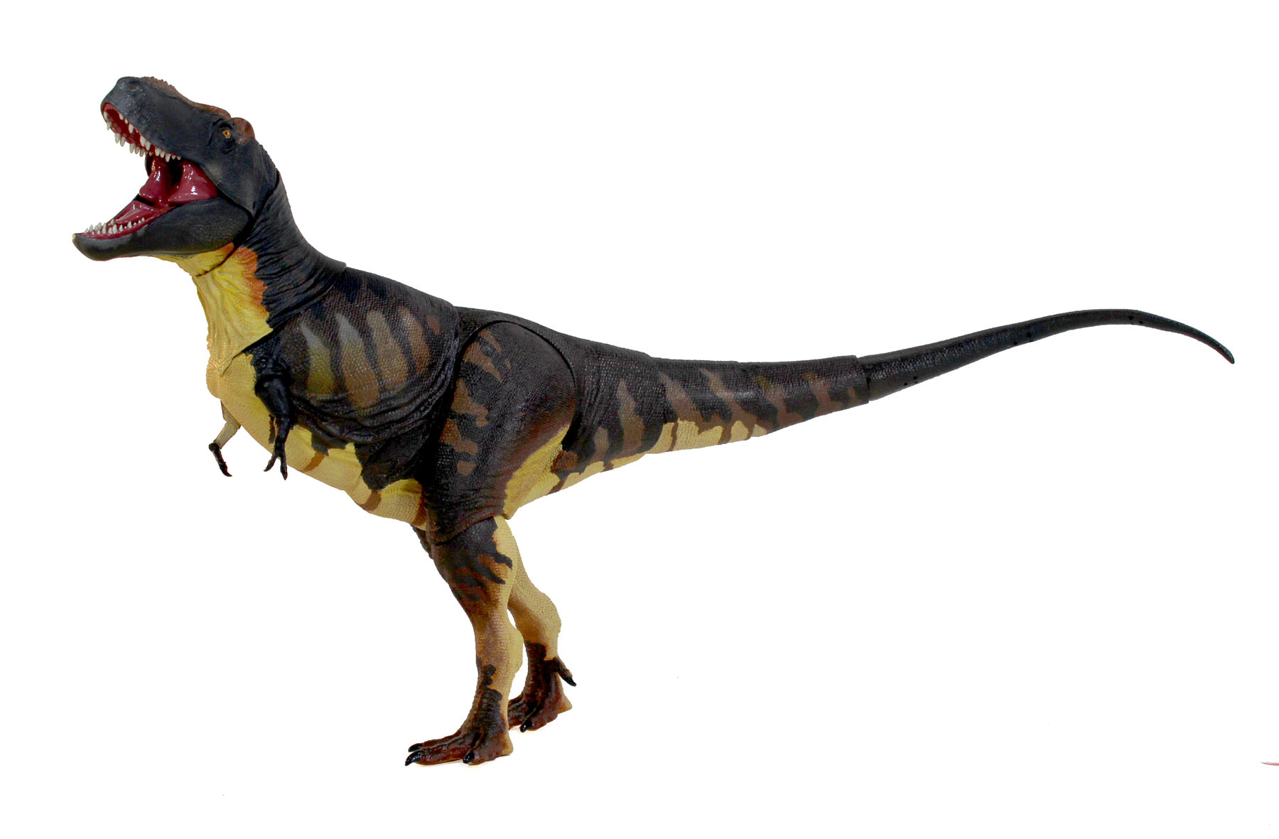 その他 BEASTS OF THE MESOZOIC Tarbosaurus Beasts of the Mesozoic: Tyrannosaur Series Tarbosaurus