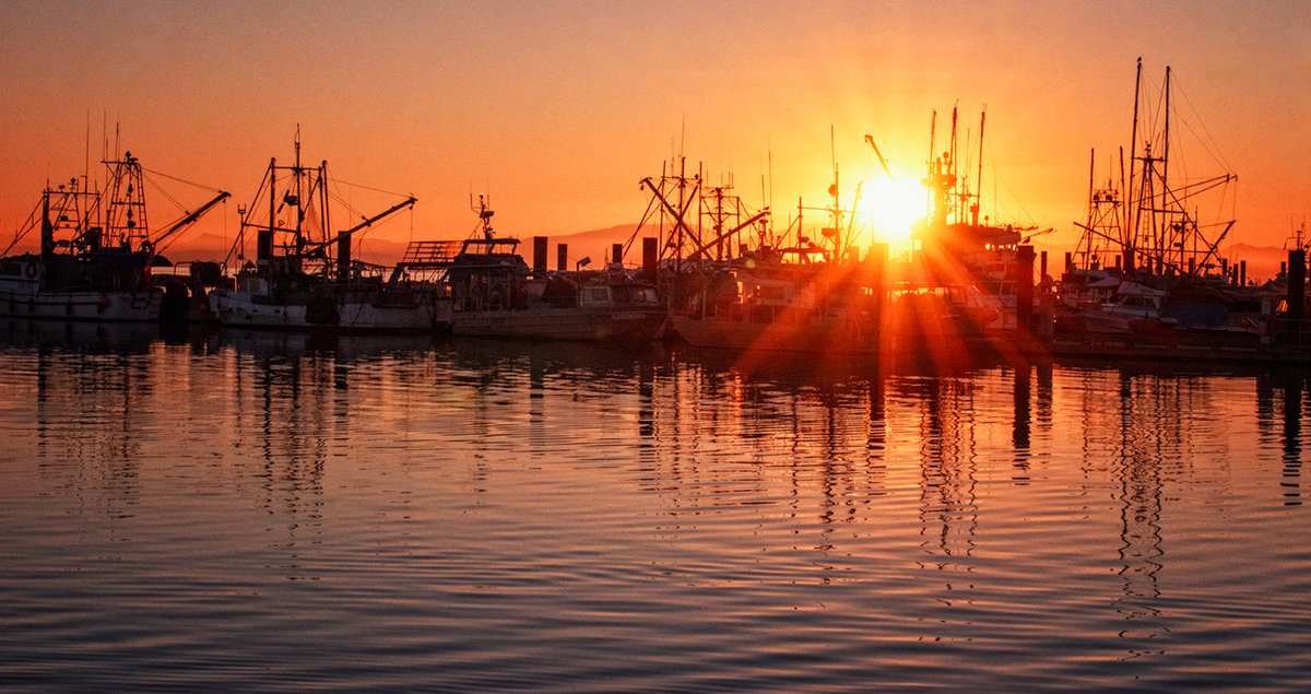 Sam_Alexandra23's tweet image. Hi Gang! Today is #WaterReflections Wednesday.  Hope you will share a capture of a #reflection in the #water. Have a Wonderful Wednesday and stay safe out there! #Photography #Waterscape #Inlet #Ocean #Seascape #Seaside