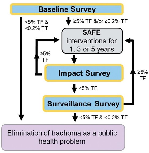 RTIfightsNTDs's tweet image. Population-based prevalence surveys are 🔑 for decision-making in efforts to achieve trachoma elimination. This new publication outlines #TropicalData survey methodologies to support health ministry-led efforts to #beatntds. tandfonline.com/doi/full/10.10… @tandfonline