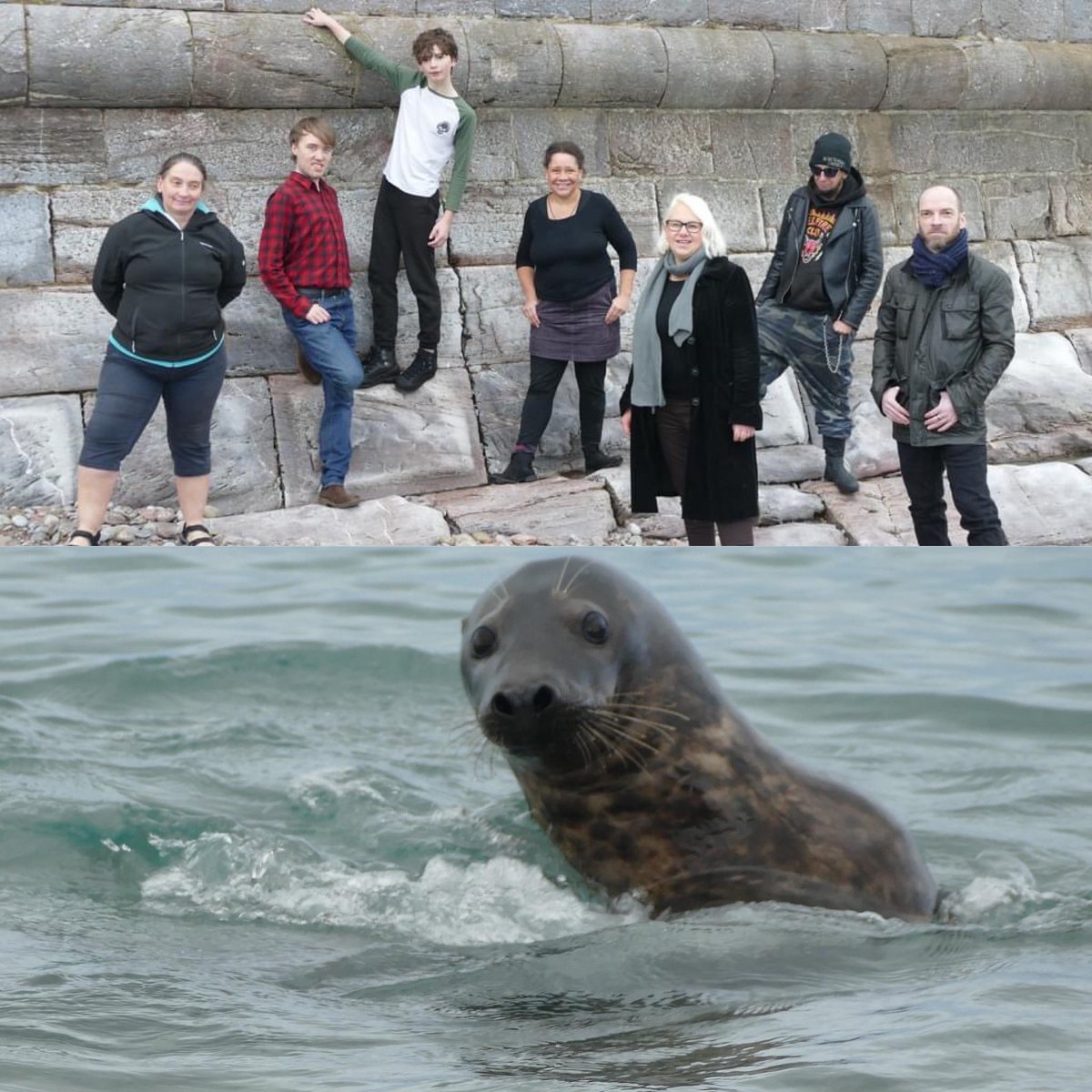 Today we had an absolutely great photoshoot for some of our amazing team - every little while we try to do a photoshoot (headshots, themes, whatever people need) for our team. we also got gatecrashed by a beautiful seal at Breakwater Beach. #theatrearts #brixhamtheatre #Brixham