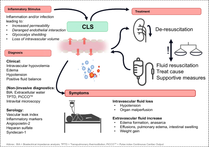 Intensive Care Medicine Experimental (ICMx) (@icmexperimental) on Twitter photo 💧☔️Capillary leak syndrome represents a phenotype of increased fuid extravasation, resulting in intravascular #hypovolemia, extravascular #edema formation and ultimately #hypoperfusion
Learn more about it in this #Review #OpenAccess
👉icm-experimental.springeropen.com/articles/10.11…
<a href="/Sascha_David_/">Sascha David</a> 💧☔️Capillary leak syndrome represents a phenotype of increased fuid extravasation, resulting in intravascular #hypovolemia, extravascular #edema formation and ultimately #hypoperfusion
Learn more about it in this #Review #OpenAccess
👉icm-experimental.springeropen.com/articles/10.11…
<a href="/Sascha_David_/">Sascha David</a>