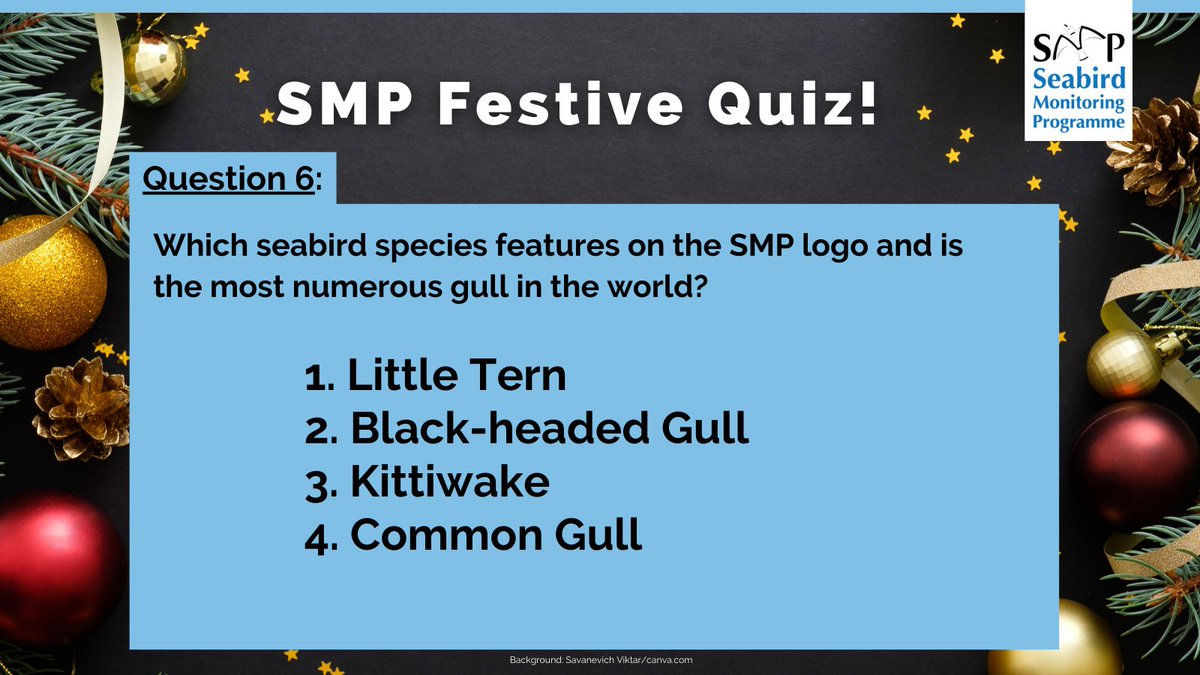 Question 6: Which seabird species features on the SMP logo and is the most numerous gull in the world? 1. Little Tern 2. Black-headed Gull 3. Kittiwake 4. Common Gull Answer 6: at 8pm tonight: #SMPfestivequiz2023 @_BTO @JNCC_UK @RSPBScience