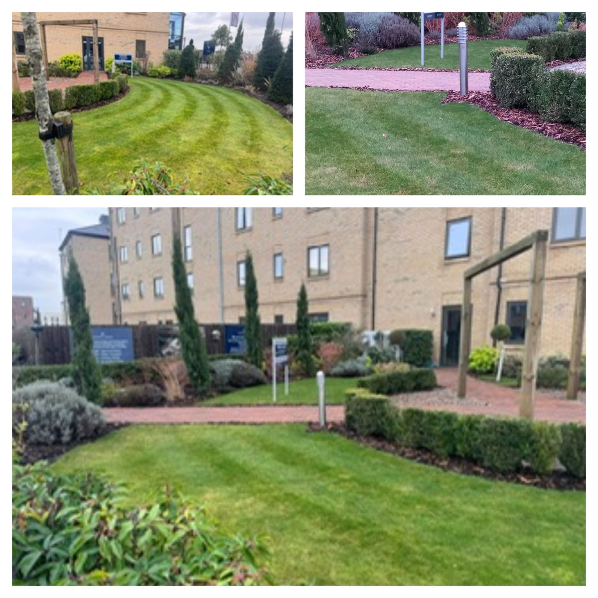 Sales area ready for 2024 💪

Happy New Year 💚

#propertydevelopers #propertymanagers #teamwork #commercialgardening #gardeningservices #showhomes #newyear2024