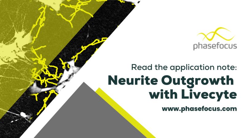 🔬 Discover Neurite Outgrowth with Livecyte! 🔬

phasefocus.com/resources/app-…

#Neuroscience