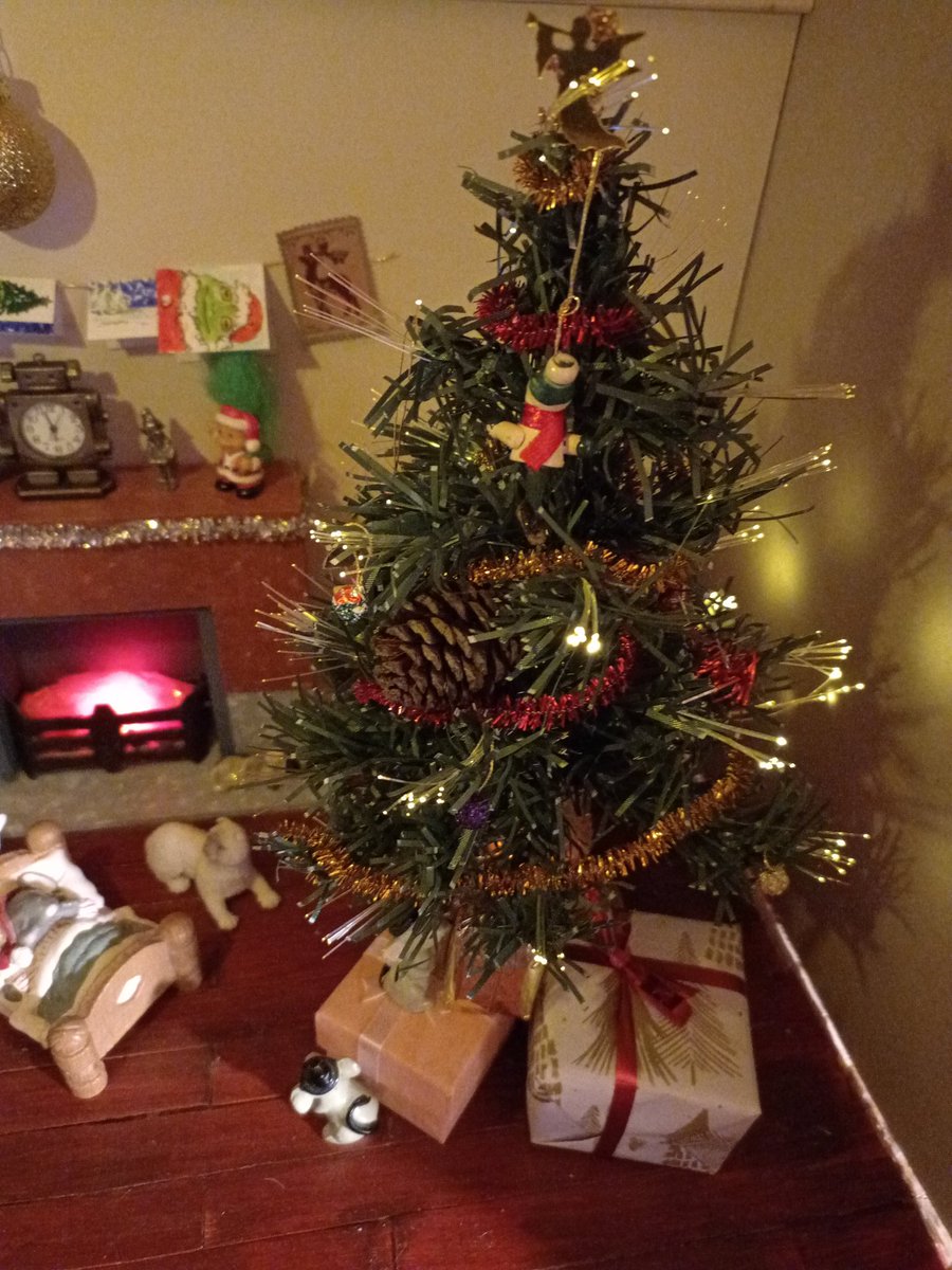 Cards posted, tree up, gifts wrapped, Frog settled by the fire with a good book.