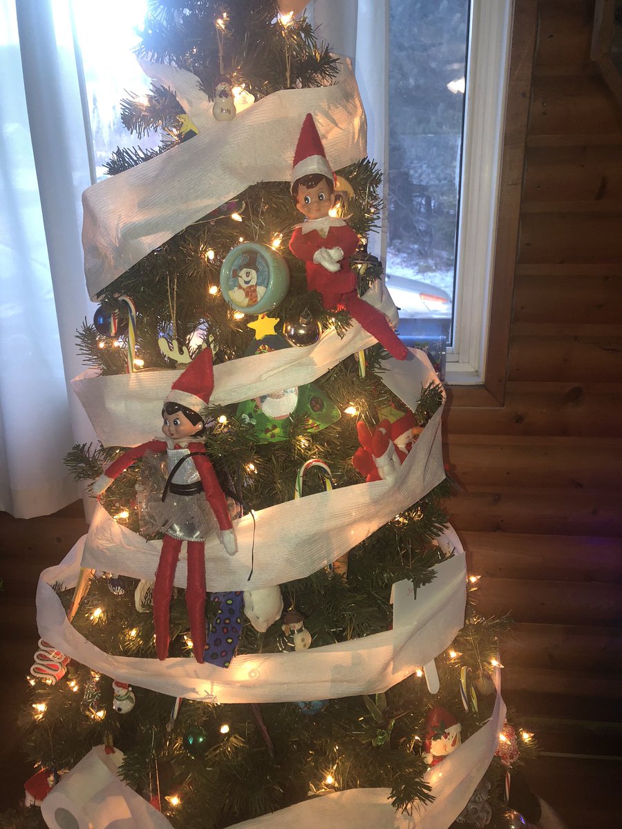 bearyfunscrap's tweet image. #TECKNET #Christmas #Giveaway Our elves toilet papered our tree!