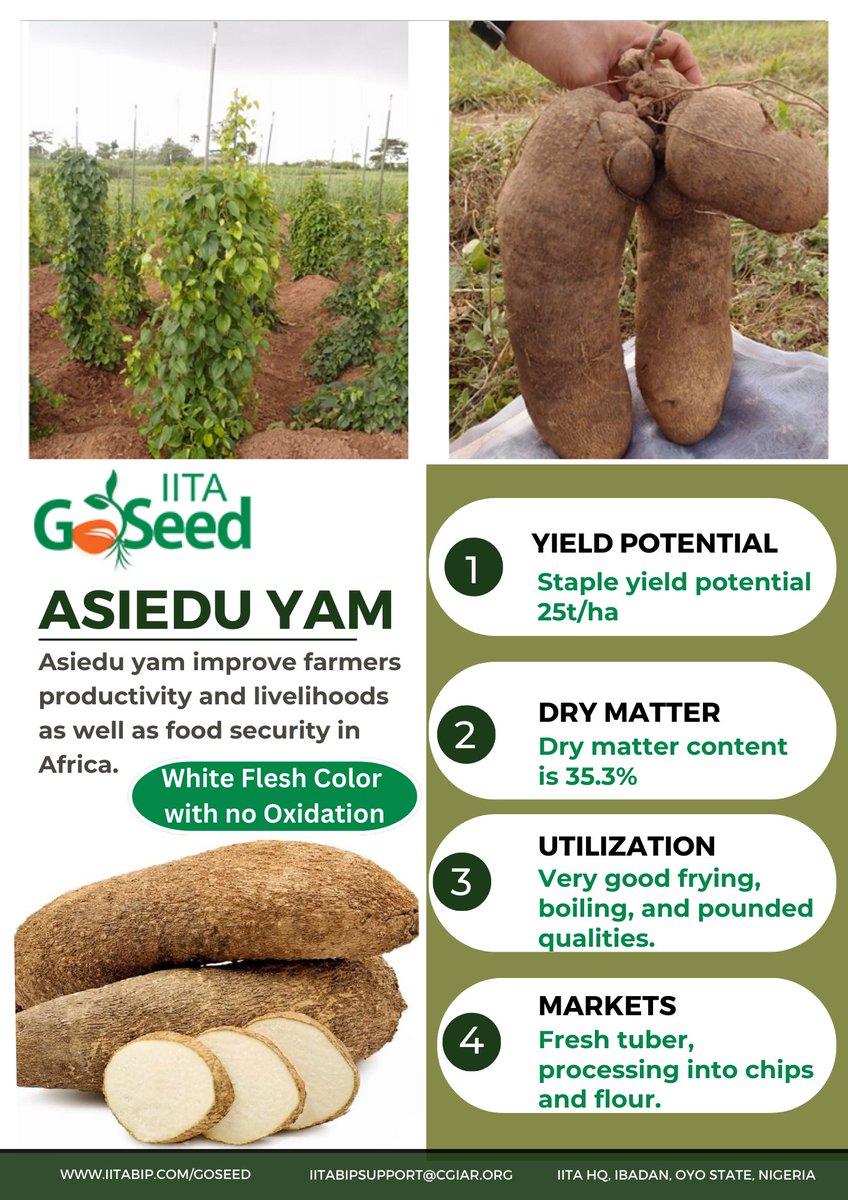 IITA GoSeed (@iitagoseedltd) on Twitter photo 2023-12-20 14:40:45