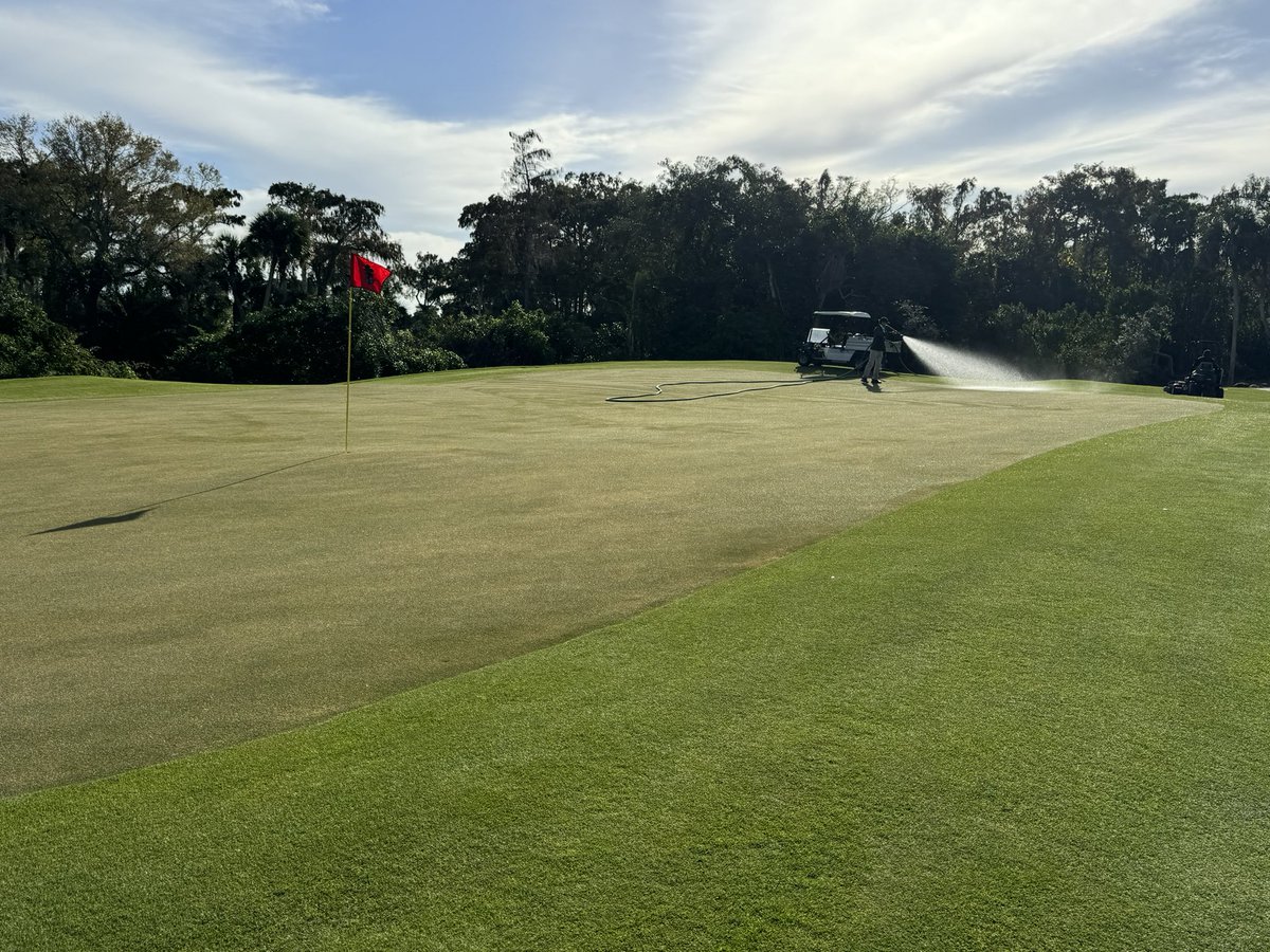 Crew has  CCN dialed in. Platinum is holding beautiful color with days time lows in the low 50’s. <a href="/Bvallison/">Bruce Allison</a>