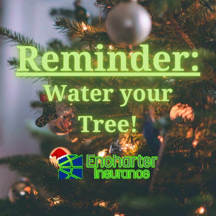 🎄🚿 Friendly reminder during the festive season: keep the holiday spirit alive by giving your Christmas tree a good drink! Hydrated trees stay vibrant longer, ensuring a joyous and safe holiday for everyone. 🌟✨ #ChristmasTreeCare #HydrateTheHolidays #FestiveReminder