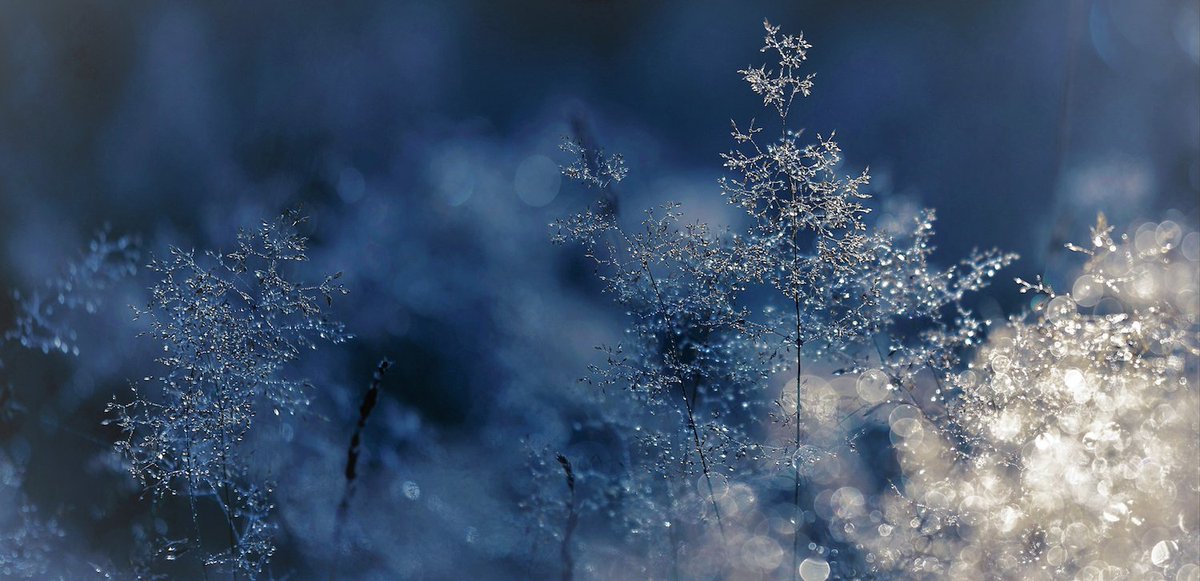 We wish you a restful holiday season and a healthy 2024.
As we approach the end of the year, we’ve taken some time to look back and reflect on the past 12 months... mcmasterforum.org/about-us/new-a…