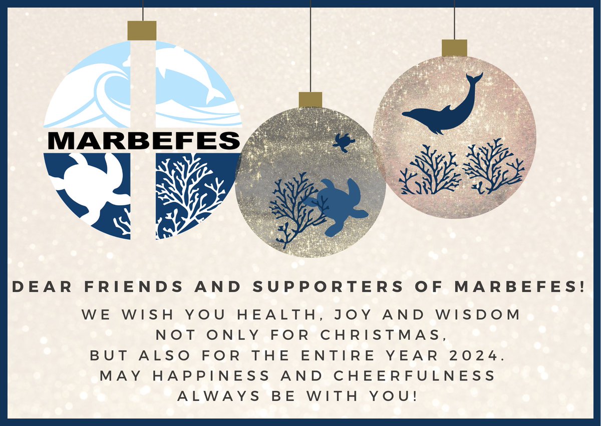 Merry Christmas everyone ! ☃⛄🎄🌲❄ #Christmas2023 #marbefes #biodiversity #joy #ecosystem