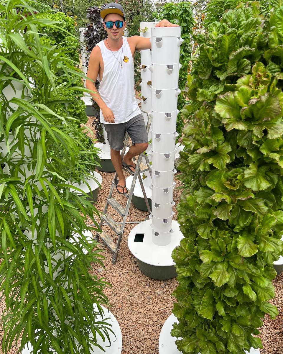 5 Research-Backed Benefits of Farming with Aeroponics:

• Average yield increase of 30%.
• Plants grow up to 3x more quickly.
• Water-saving of 95% compared to soil-based farming
• Space Saving of 90% compared to conventional farming methods
• Less Pests