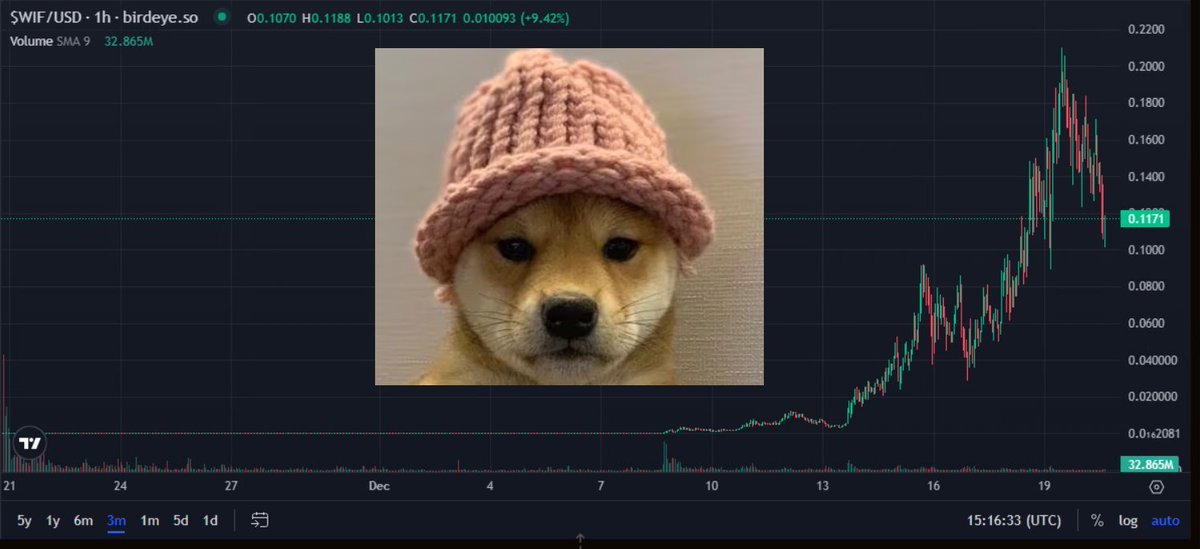 People say there's no real innovation in crypto but I say to you, here is a dog WITH A HAT. (Dogwifhat, $WIF)