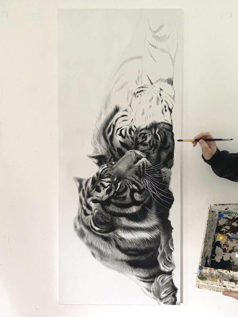 NEW Black and white tigers, acrylic painting in progress…..

(Black and white Acrylic)

For more info visit the website or send me a message julierhodes.com 

#tigerart #acrylicart #artgallery #artcollector #wildlifeartist #blackandwhiteart #painter #artinprogress