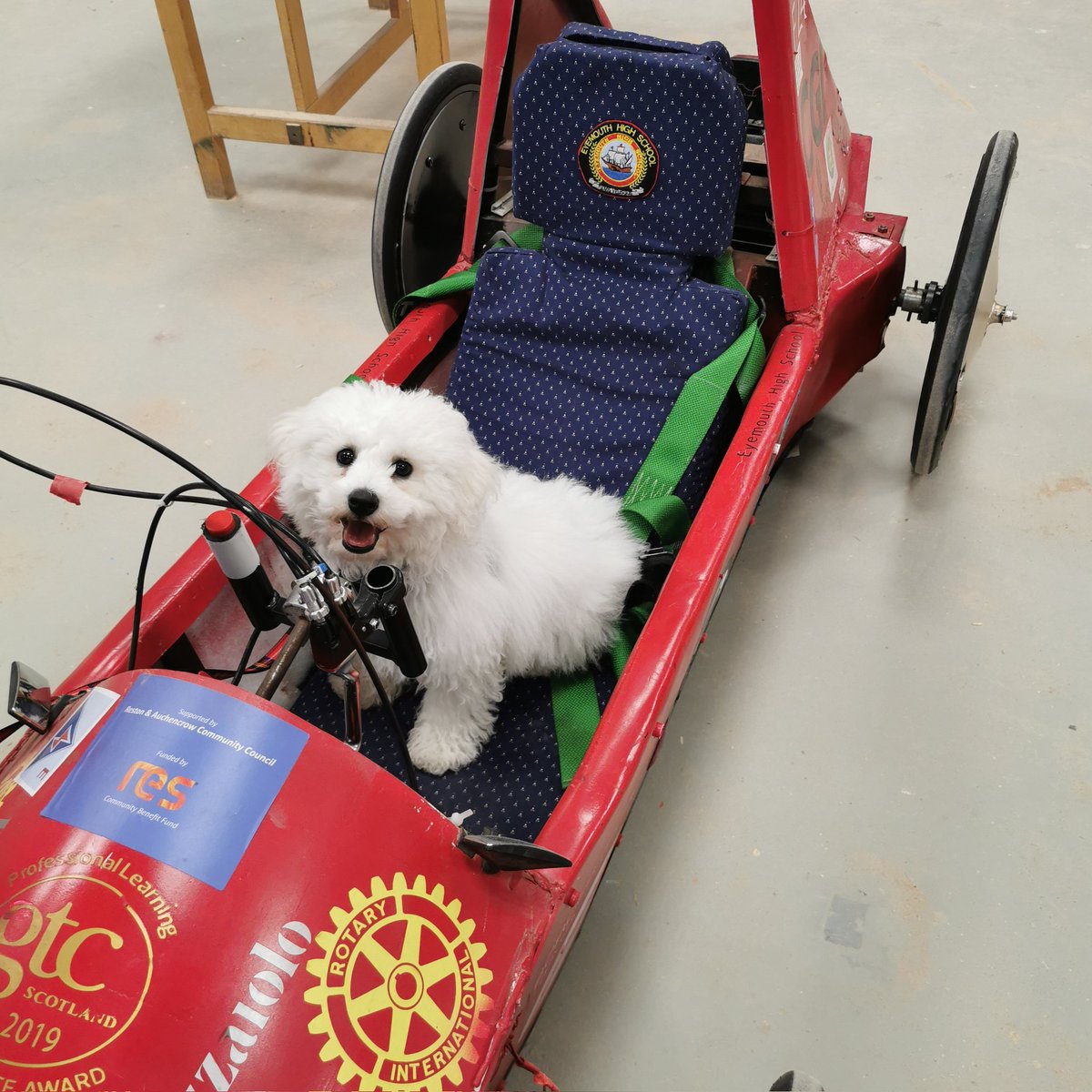 We had our newest member in today! He excelled at being a fluffball and scrutining one of our greenpower cars!