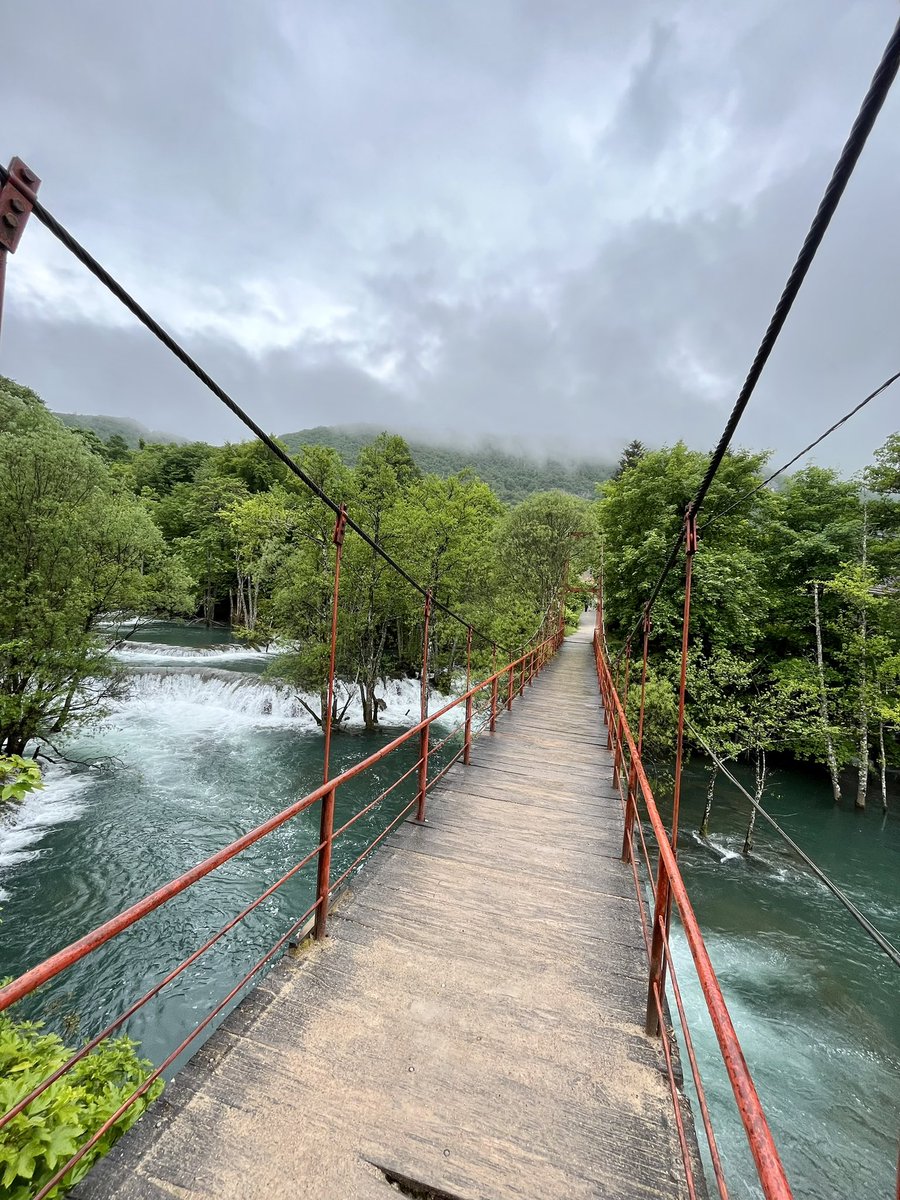 فيدري بدر tweet media