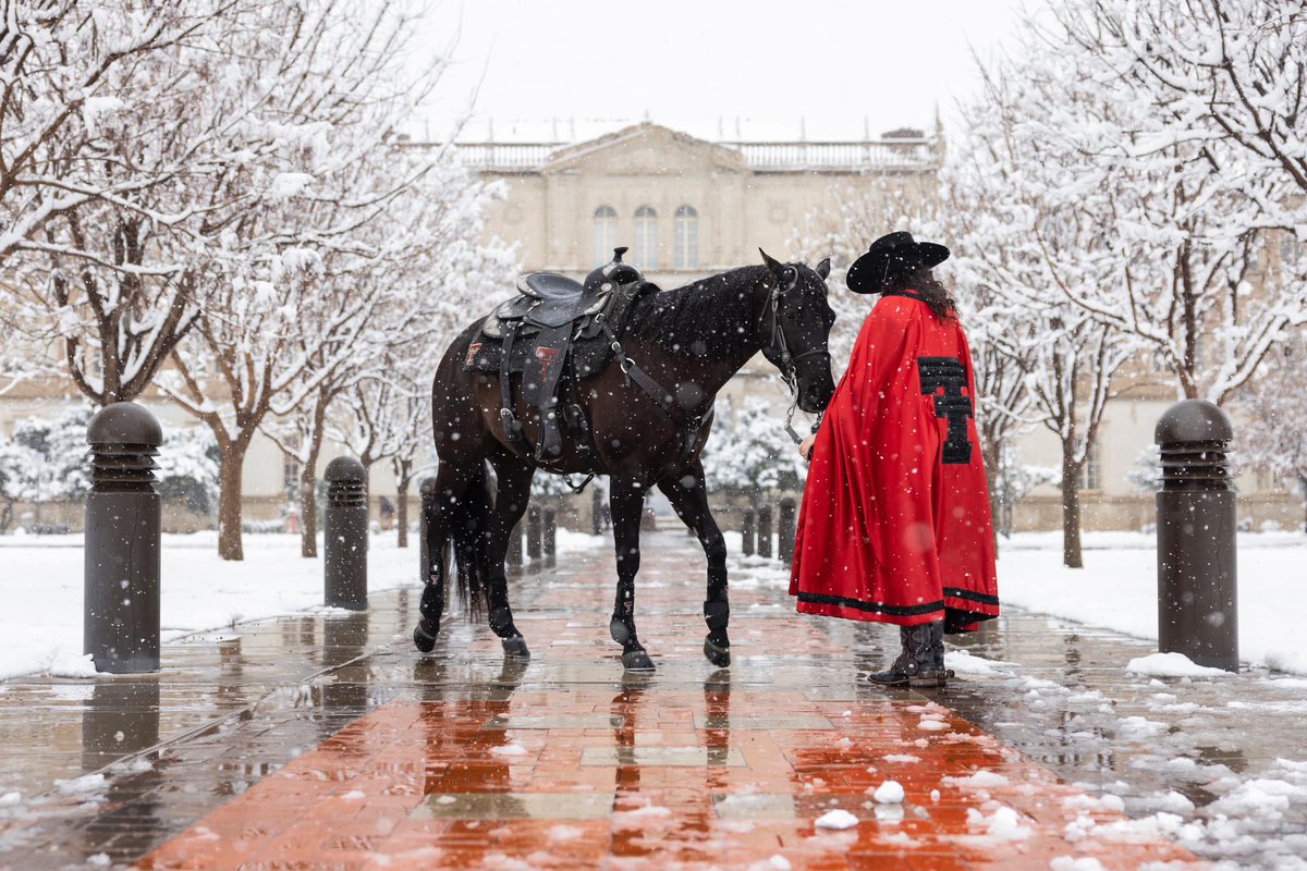 Make your year-end gift by December 31st! Visit give.ttu.edu/2023 to make your gift today!