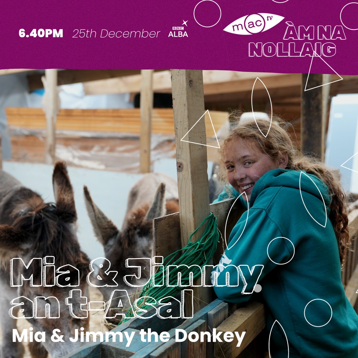 Tha Mia cinnteach gu bheil i airson Jimmy a thrèanadh ged a tha e cho righinn sa ghabhas! 

Mia is determined that she is going to train Jimmy even though he is a stubborn mule! 

#gàidhlig #gaelic #bbcalba #clàrnanollaig #christmas #christmasday #nollaigchridheil <a href="/bbcalba/">BBC ALBA</a>