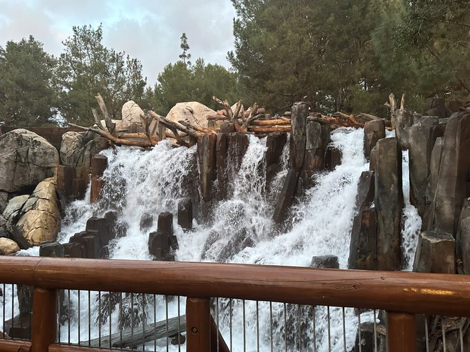 Dope Disney time https://t.co/r4tWxkHcAf<a href="/tag/findomalpha"class="tags"><span>#findomalpha</span></a>