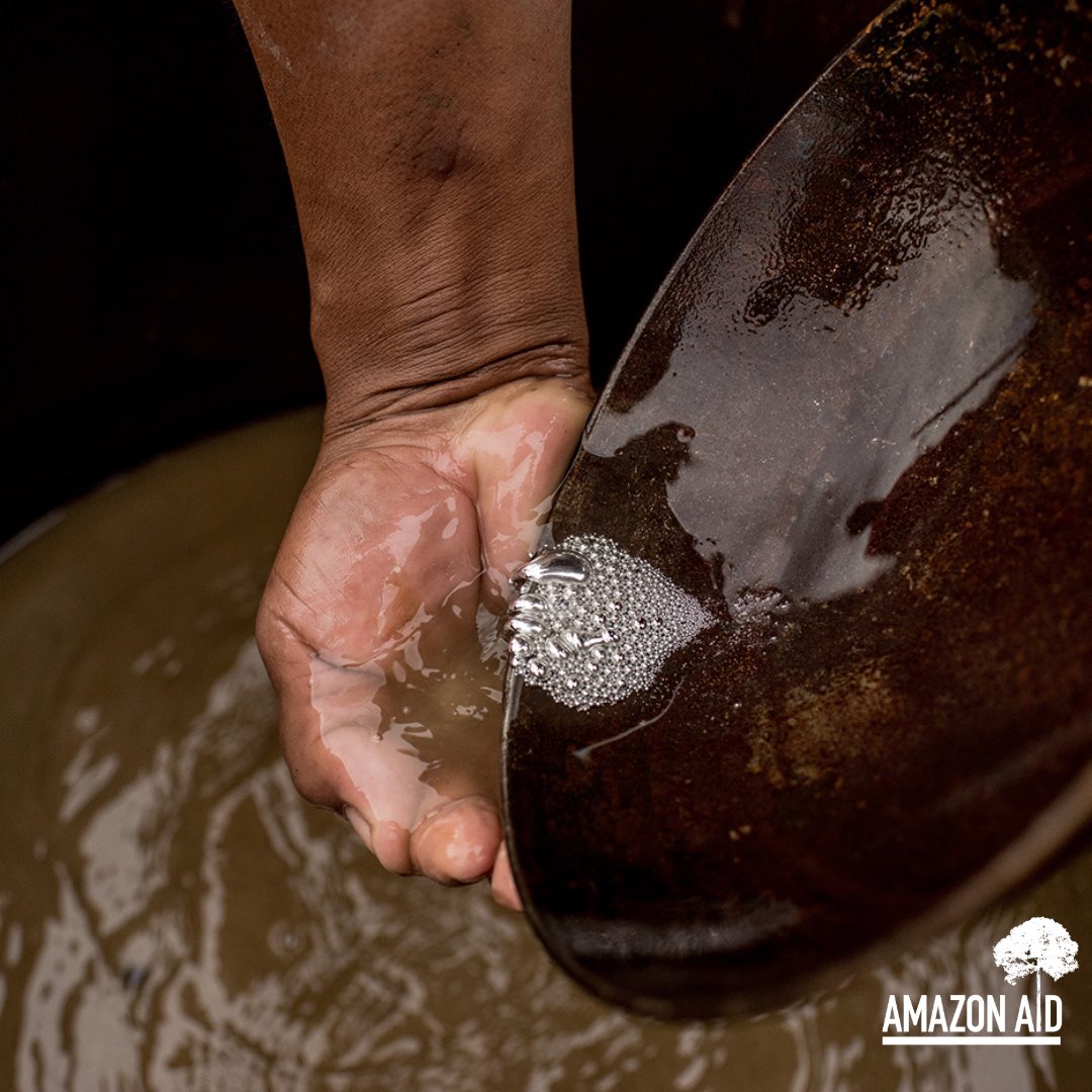 Amazon Aid Foundation exclusive research: Tracking Amazon Gold Part 1: on-the-ground impacts and solutions, prepared by Charlie Espinosa and @Kelsey_Beyeler

Learn more about gold mining in the Peruvian Amazon: amazonaid.org/trackingamazon…